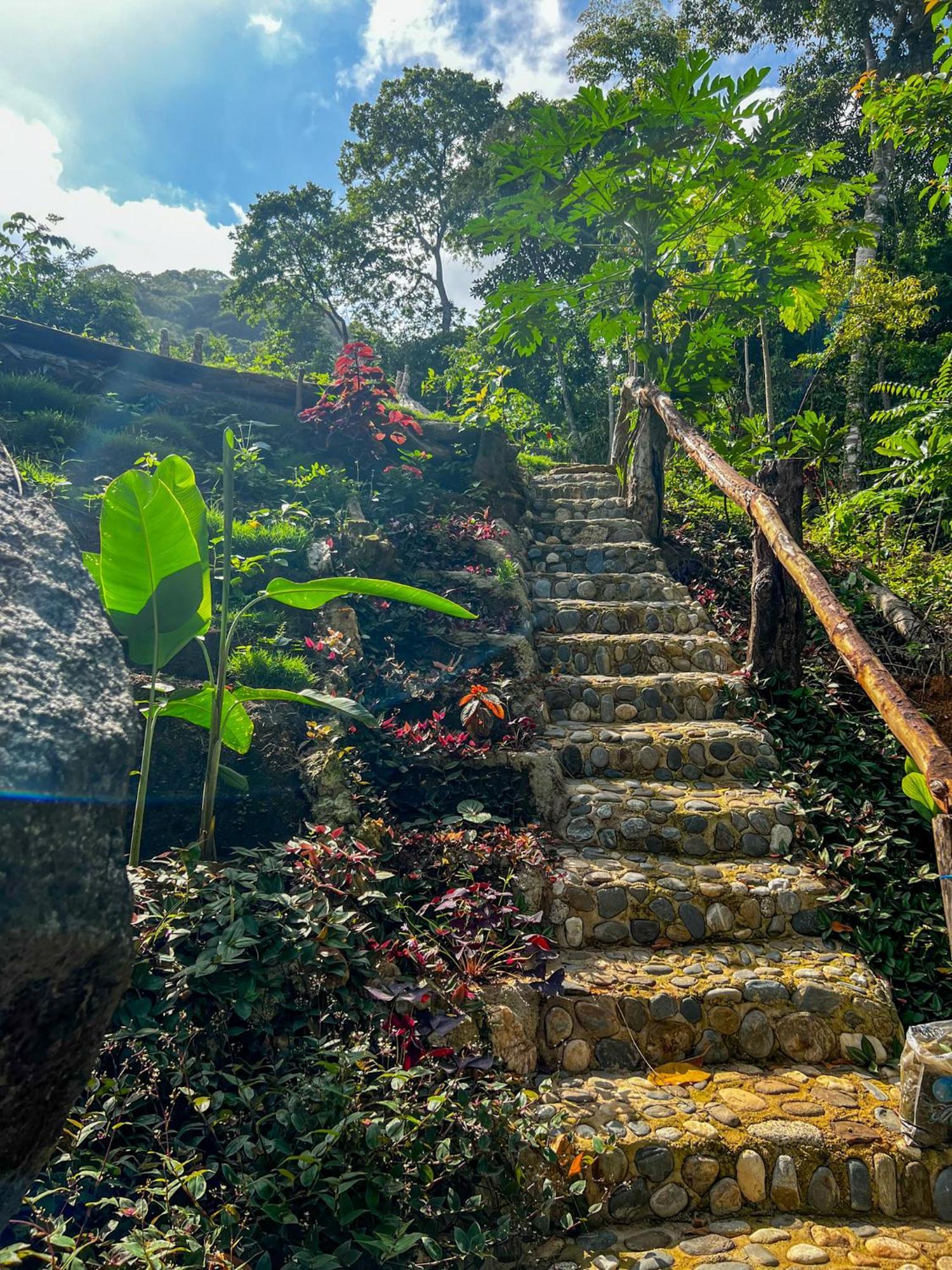 Hostal Paraiso Tayrona Kogui Los Naranjos Exterior photo